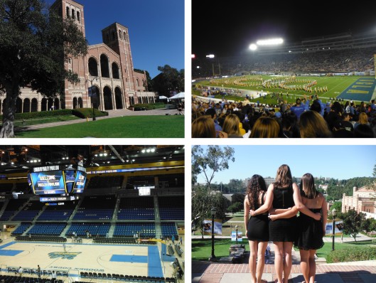 UCLA Loving 